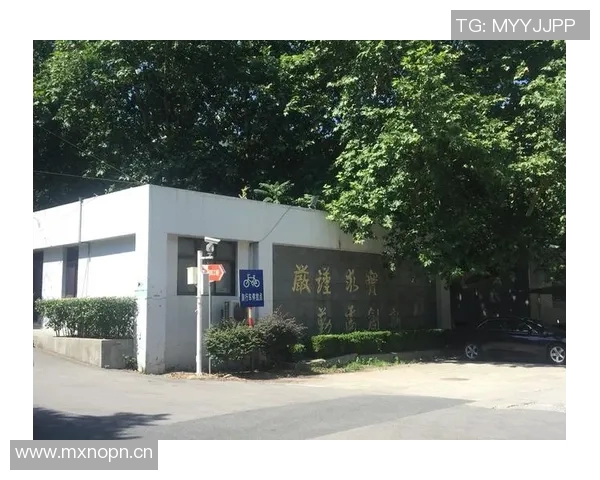 赛后分析南京乒乓球队与广州乒乓球队的战术意识与心理博弈